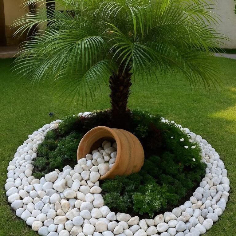 518276168_122176657448321926_3880006828244128870_n