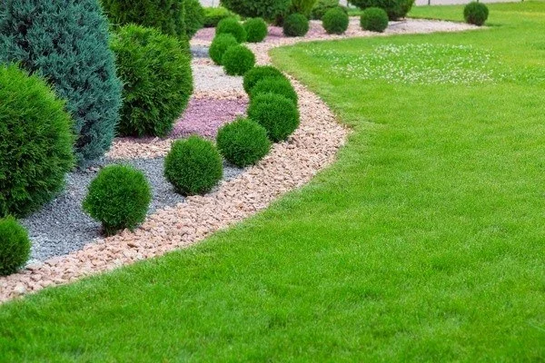 Professional-landscaping-services (1)