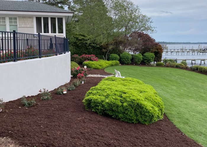 442407764_122098538372321926_159722045110083569_n