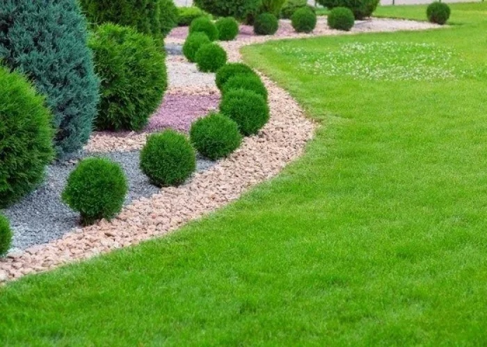 Professional-landscaping-services (1)